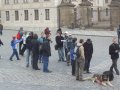 IMGP3258.JPG